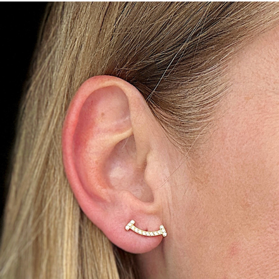 HAPPY CURVED EARRING WITH TRANSPARENT ZIRCONIA